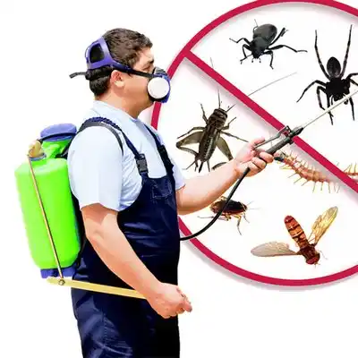 pest control El Duende